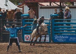Bull rider on a bucking palomino bull with a rodeo clown nearby at an outdoor rodeo.