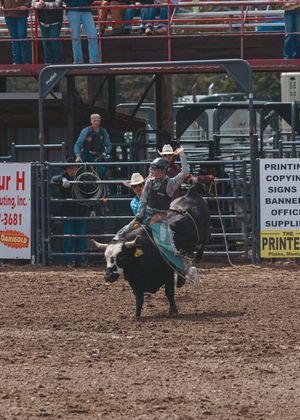 A cowboy rides a bucking bull at a rodeo competition in a dirt arena with spectators watching.