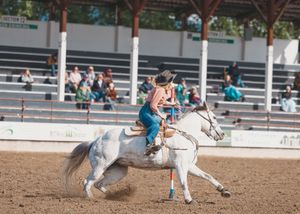 A cowgirl on a white horse competes in a pole bending event at an outdoor rodeo arena.