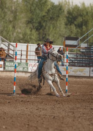 A cowgirl in a red patterned shirt navigates a white horse through poles in a rodeo event.