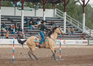 A cowgirl on a buckskin horse weaves through striped poles during a rodeo pole bending competition.