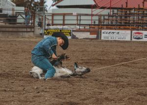Cowboy tying a calf during a rodeo calf roping competition in a dirt arena.