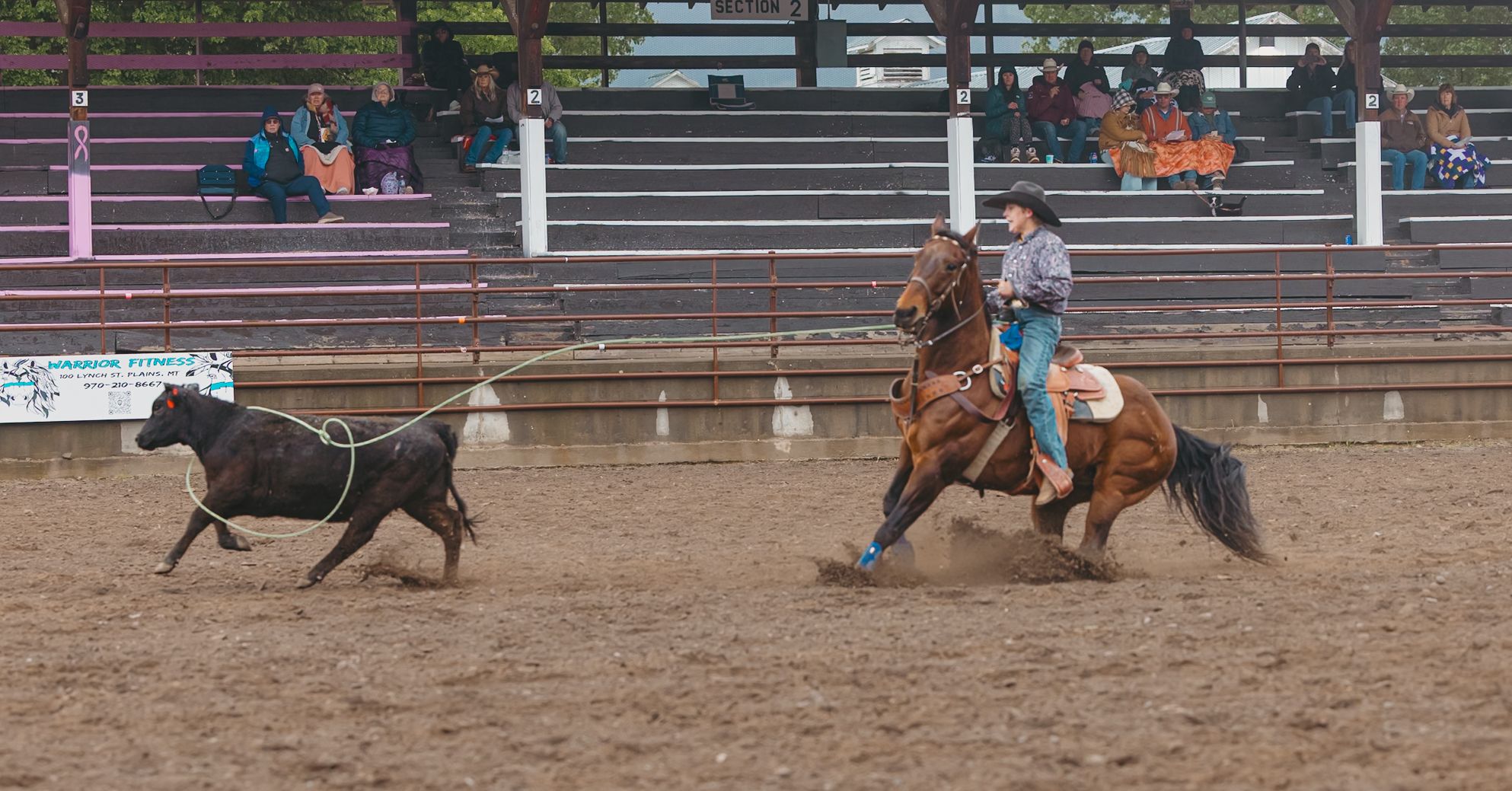 Cowboy on horseback roping a calf during a rodeo competition in a dirt arena with spectators watching.