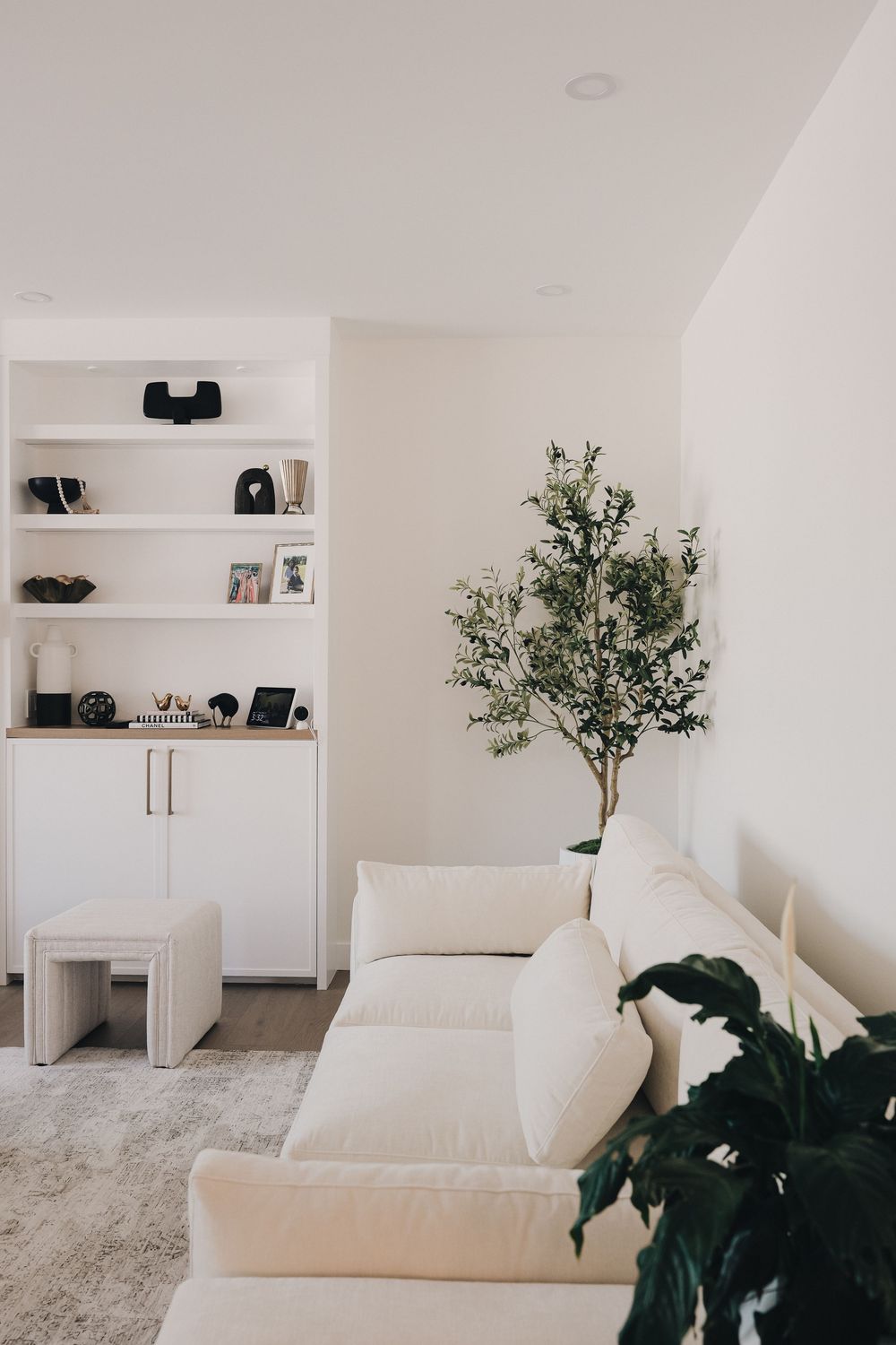 Minimalist living room with white sofa, built-in shelves, and indoor olive tree against neutral walls.