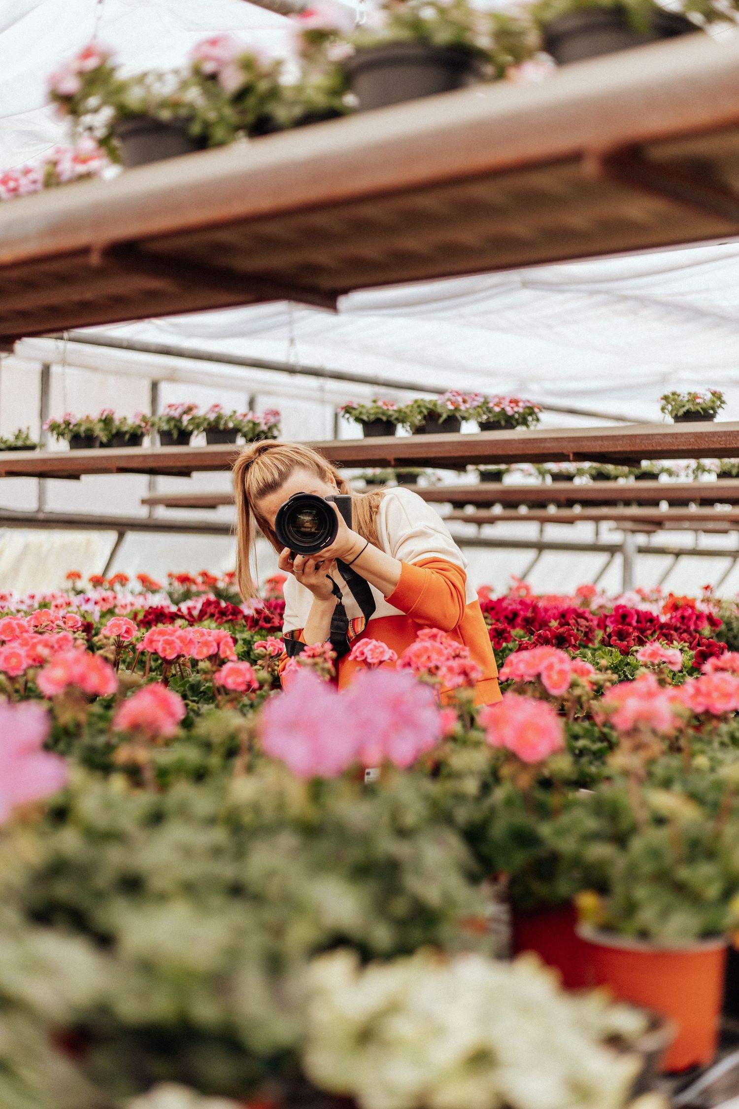 Ein Fotograf in einem orangefarbenen Pullover hockt zwischen rosa Blumen in einem Gewächshaus, um das perfekte Foto zu schießen.