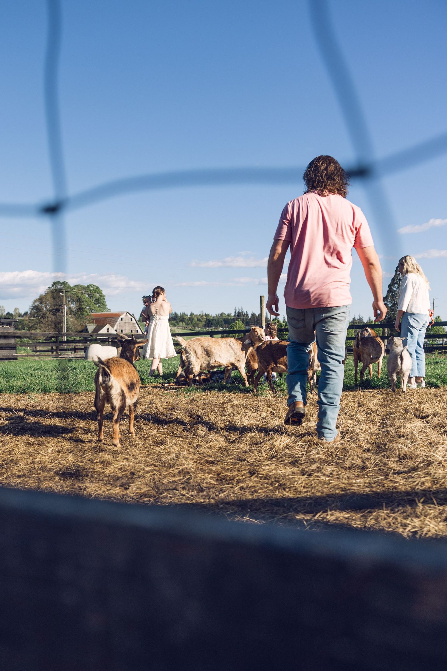 Family walking among goats on a sunny farm with hay-covered ground and blue sky backdrop.