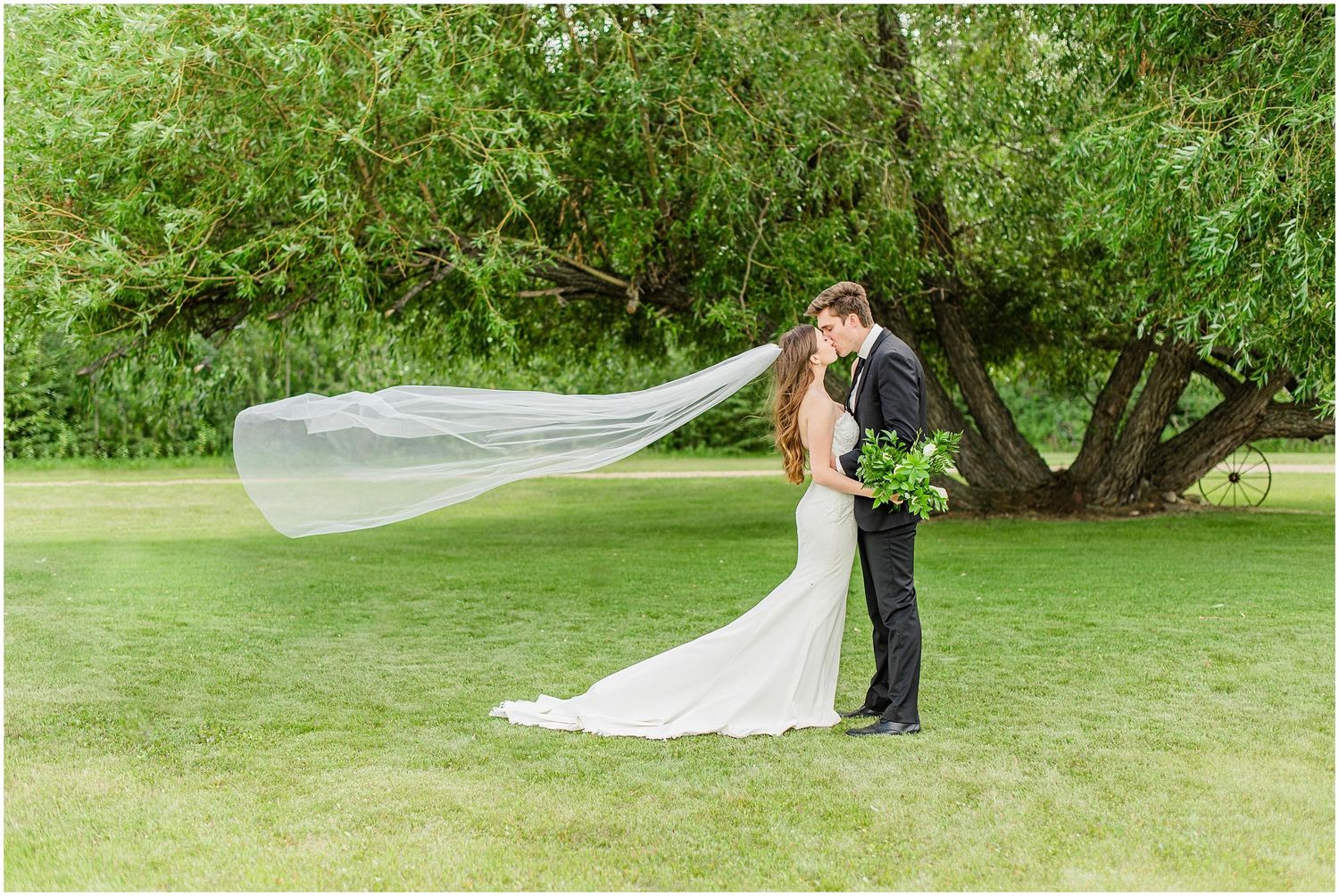 Bride's veil flows dramatically in wind as couple kisses on green lawn by tree.