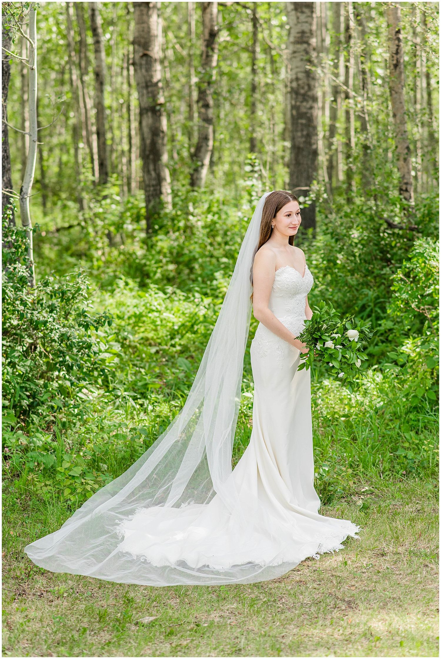 Bride in a white gown with a long flowing veil standing elegantly among birch trees in a forest.