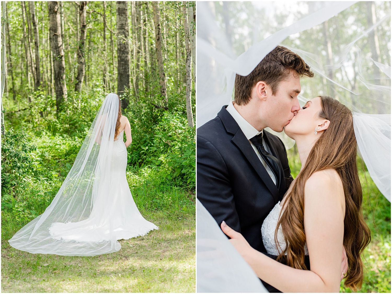 Bride and groom share a romantic kiss under a flowing veil among tall birch trees in a green forest.