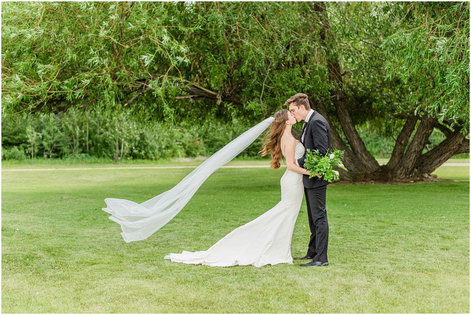Bride and groom share a romantic kiss as her long veil billows in the wind beneath a large willow tree.