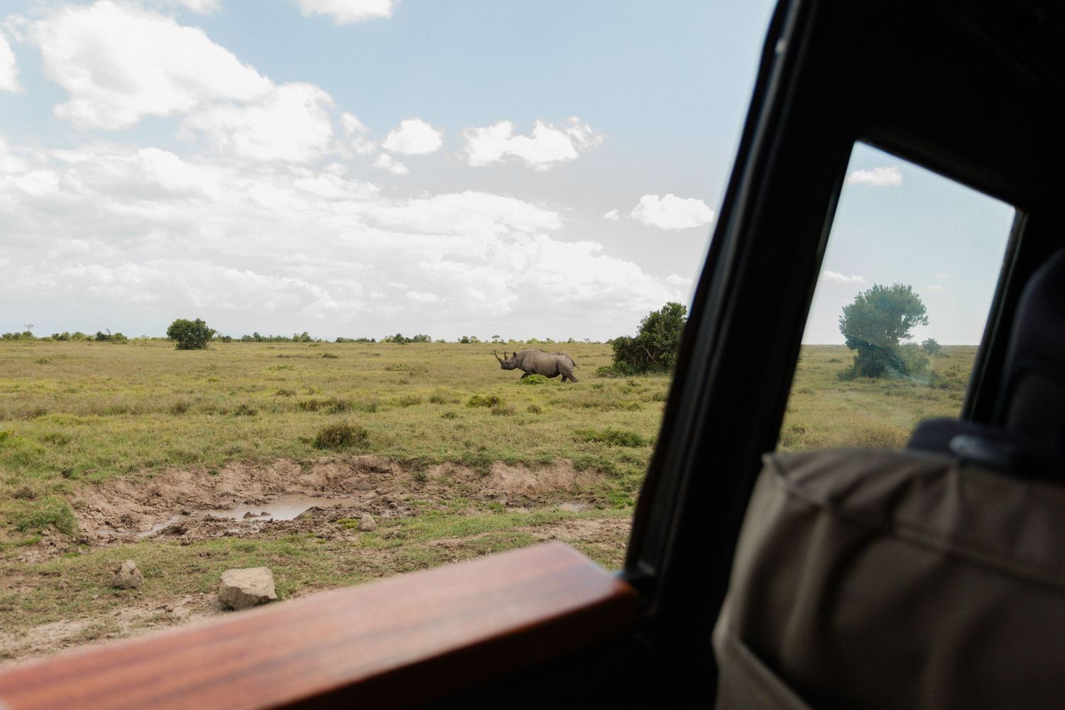 Safari vehicle window view of a rhino grazing on vast green savanna plains under a cloudy sky in Africa.