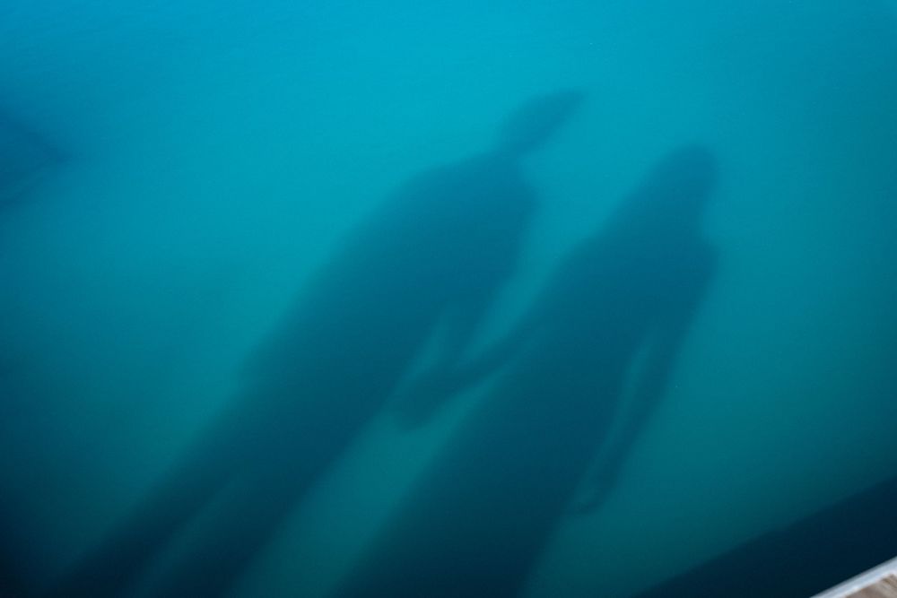 Two blurry silhouettes of people visible through turquoise water, creating an eerie underwater shadow effect.