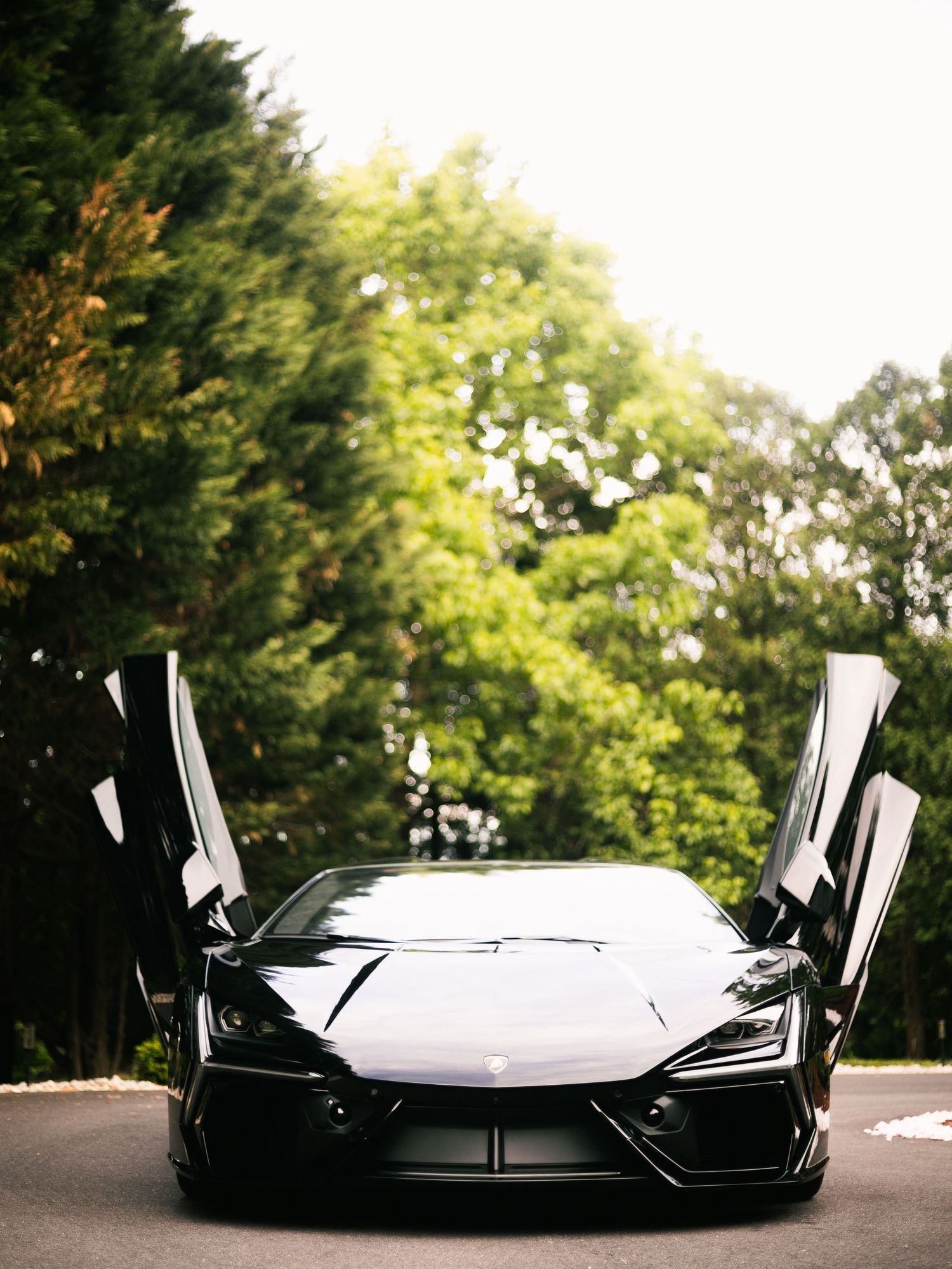 A sleek black Lamborghini with scissor doors open is parked on a driveway surrounded by lush green trees.