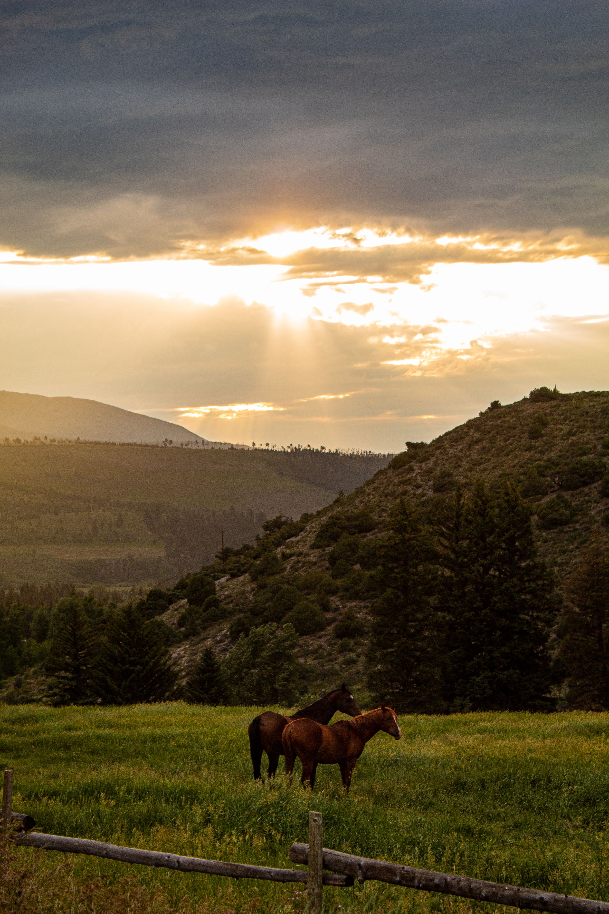Sunset in mountains with horses