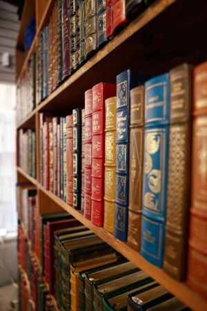 Vintage leather-bound hardcover books with ornate spines arranged neatly on wooden library shelves.