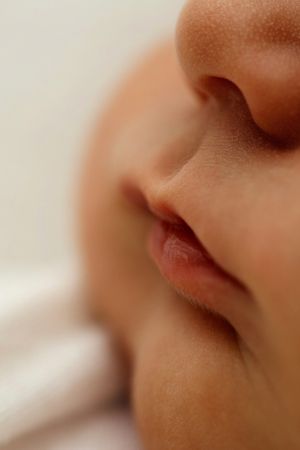Close-up macro photo showing a series of lips and nose profiles against a soft white background.