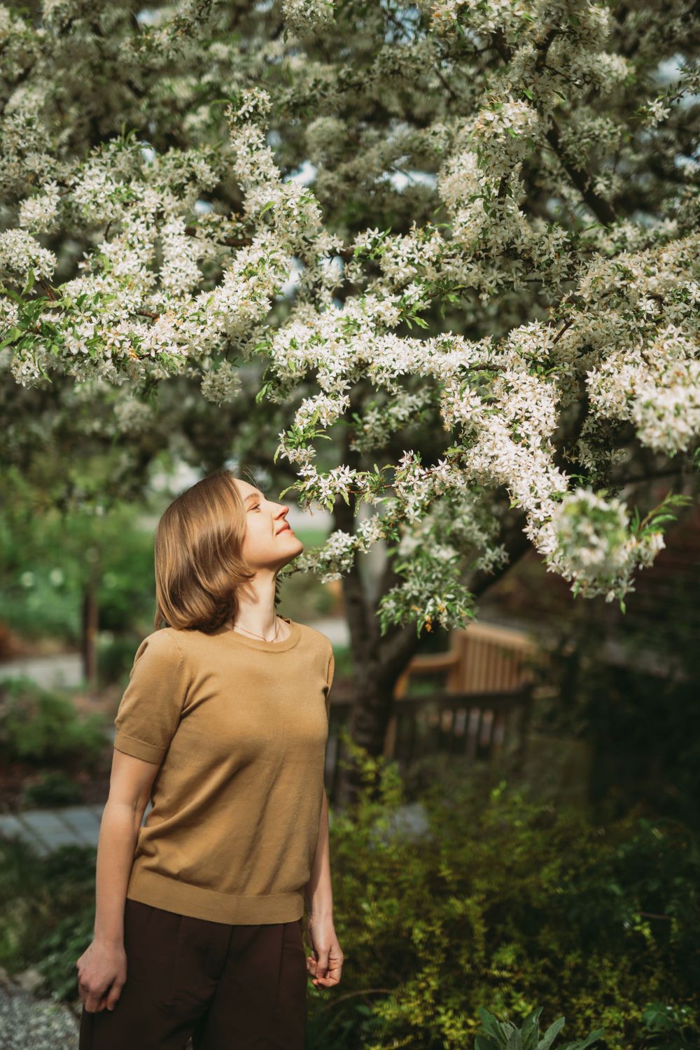 A person wearing a tan top admires blooming white spring blossoms on a tree in Bellevue botanical 
garden.