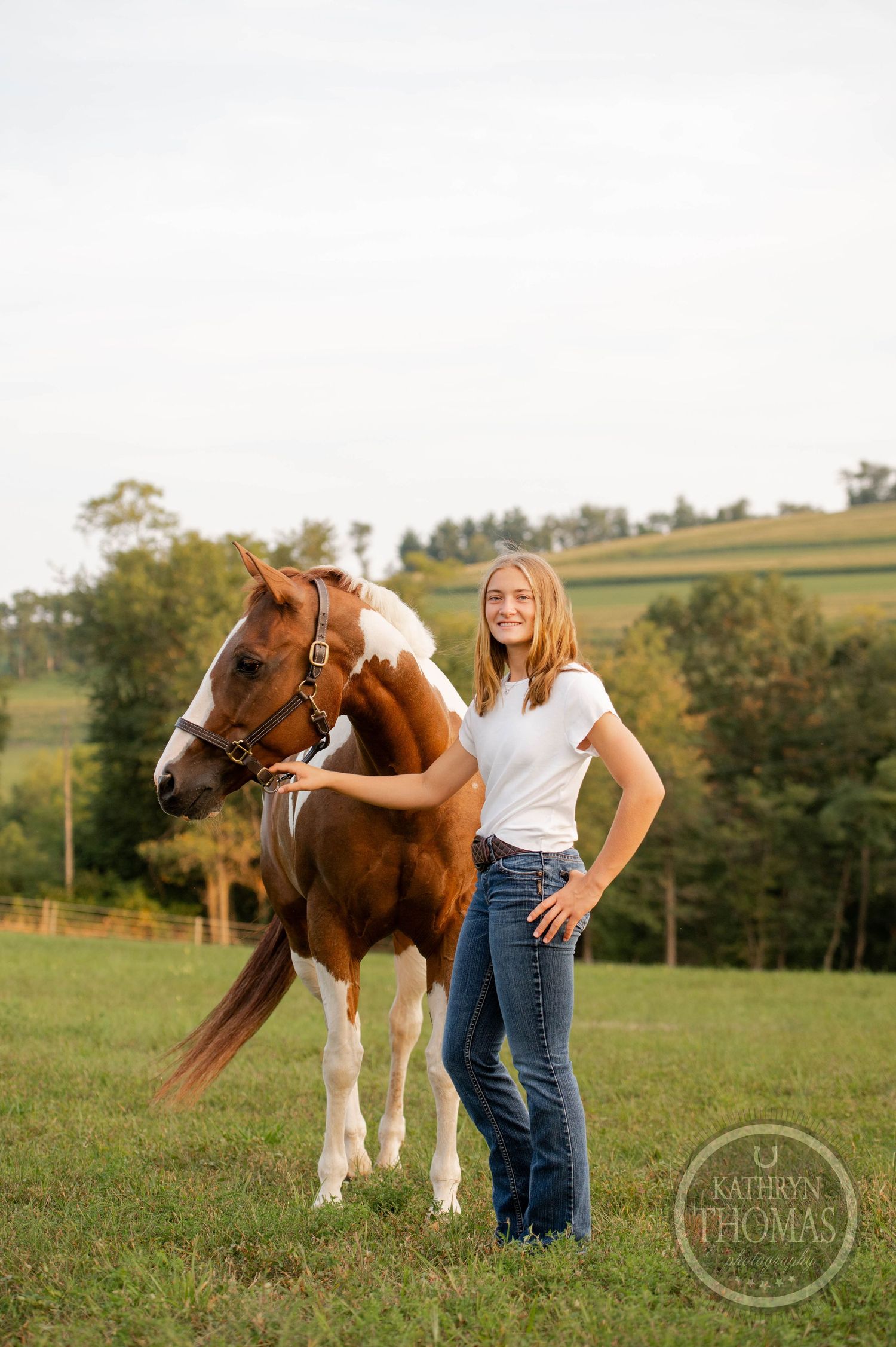 A brown and white horse stands calmly in a green pasture during golden hour.