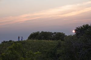 Sioux City, Iowa photographer. Two silhouetted figures stand on a hilltop surrounded by trees beneath a vibrant pink sunset sky.