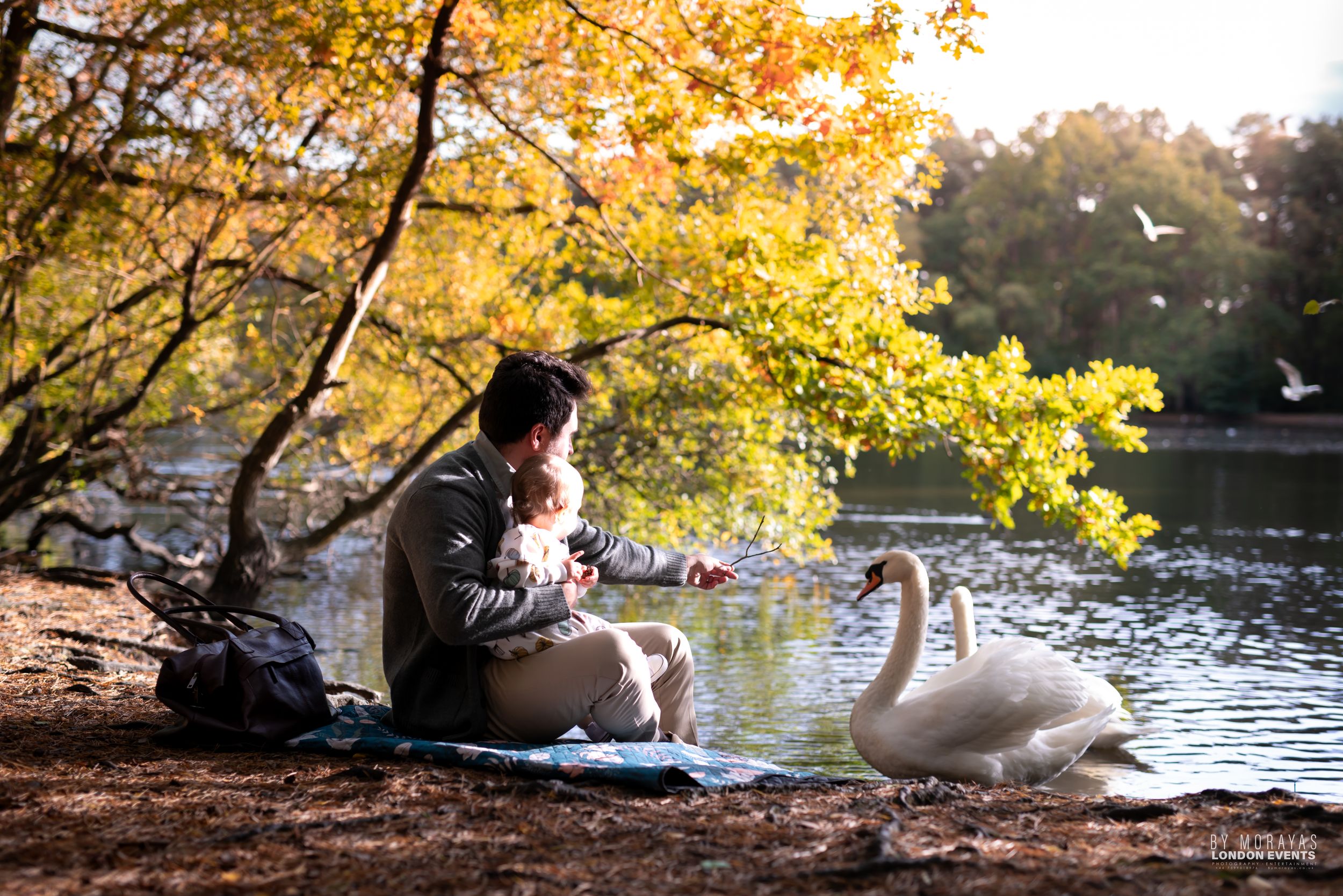 Peaceful lakeside photo sequence with fall colors and water views.