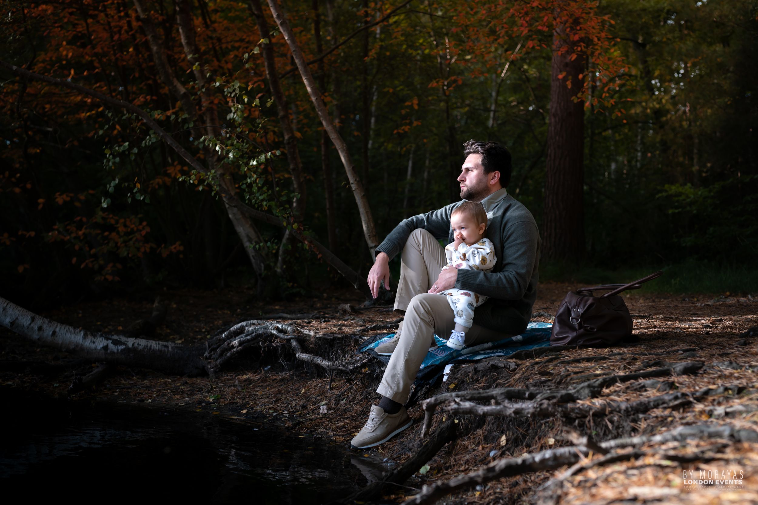 Forest photography sequence with natural lighting and pine trees.