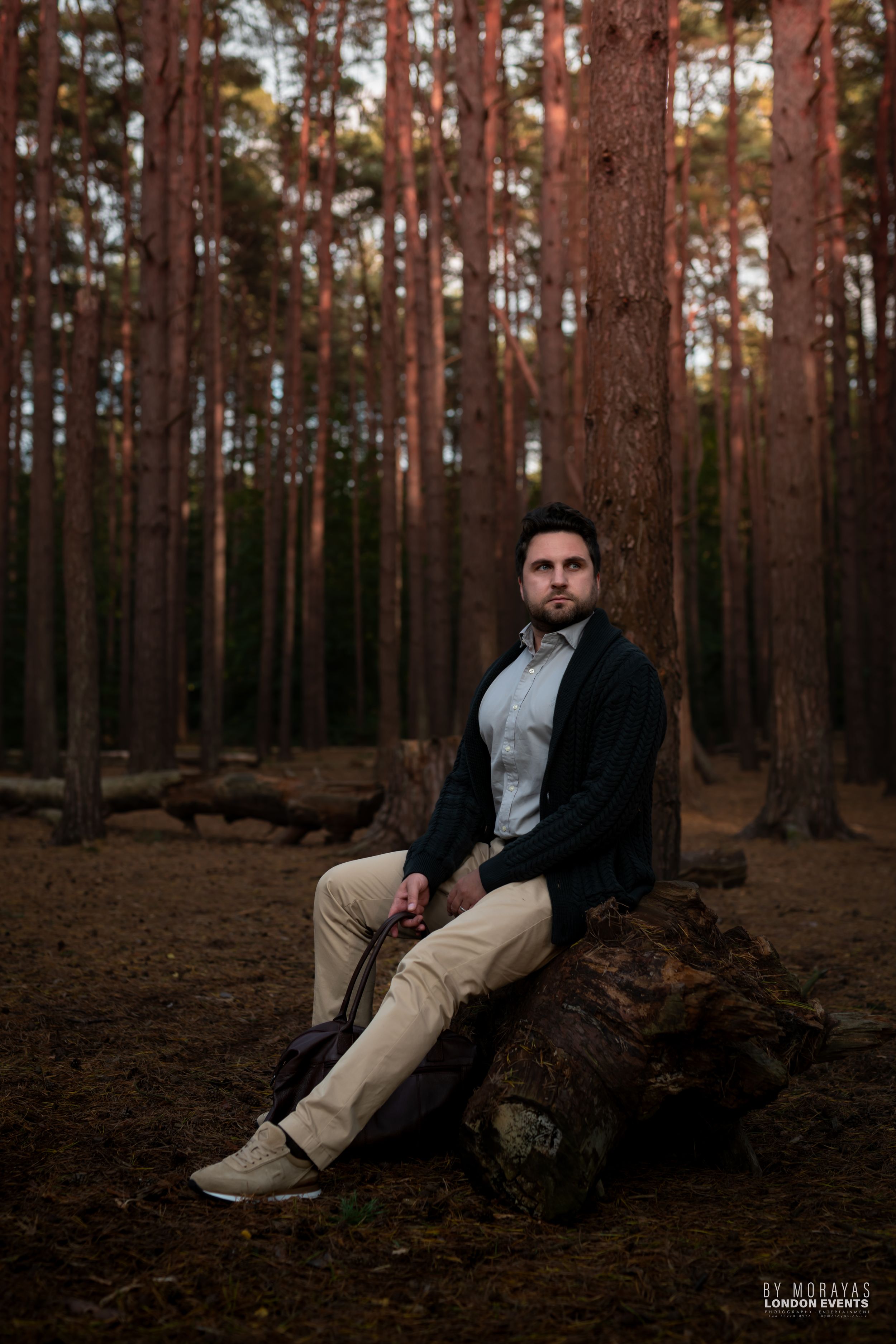 A moody portrait of someone sitting on a fallen log in a pine forest at dusk.