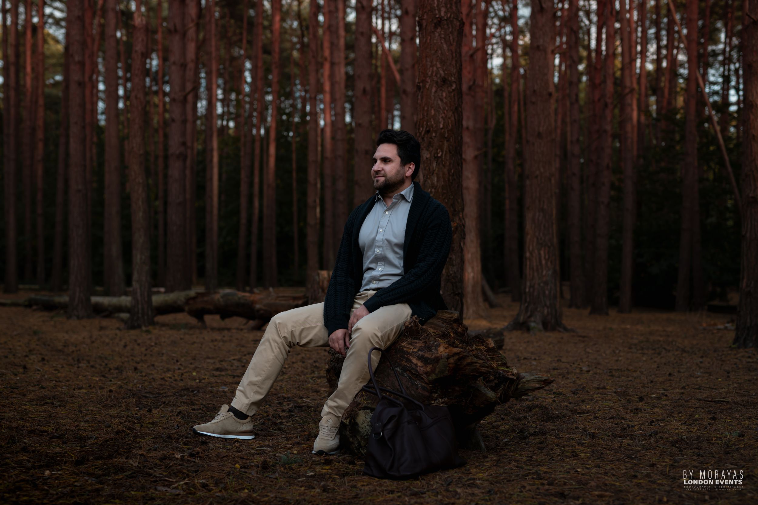 Someone in casual attire sits on a fallen tree trunk in a pine forest during golden hour.