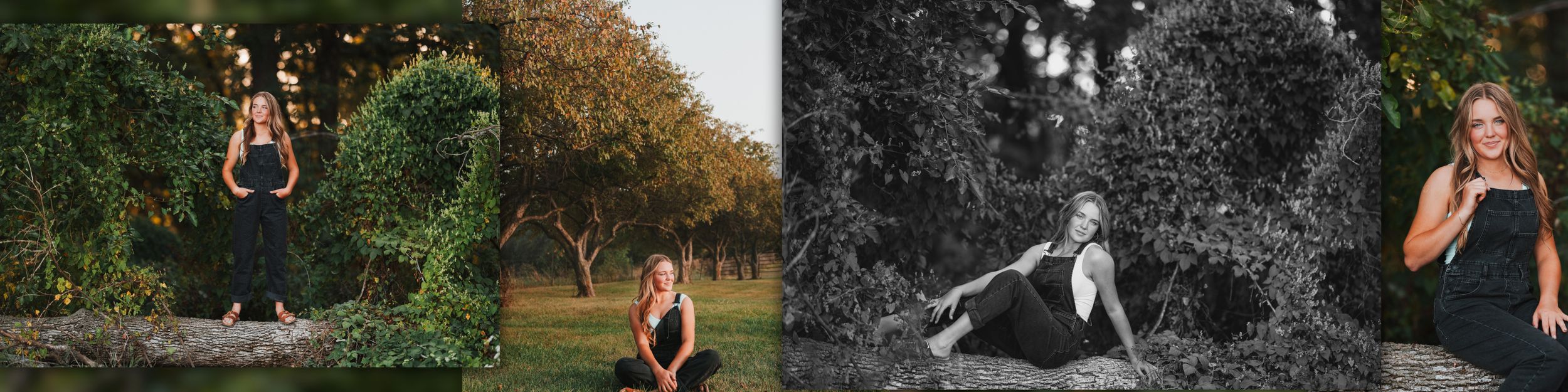 A collection of black and white and color wedding photographs showing candid moments and celebrations outdoors.