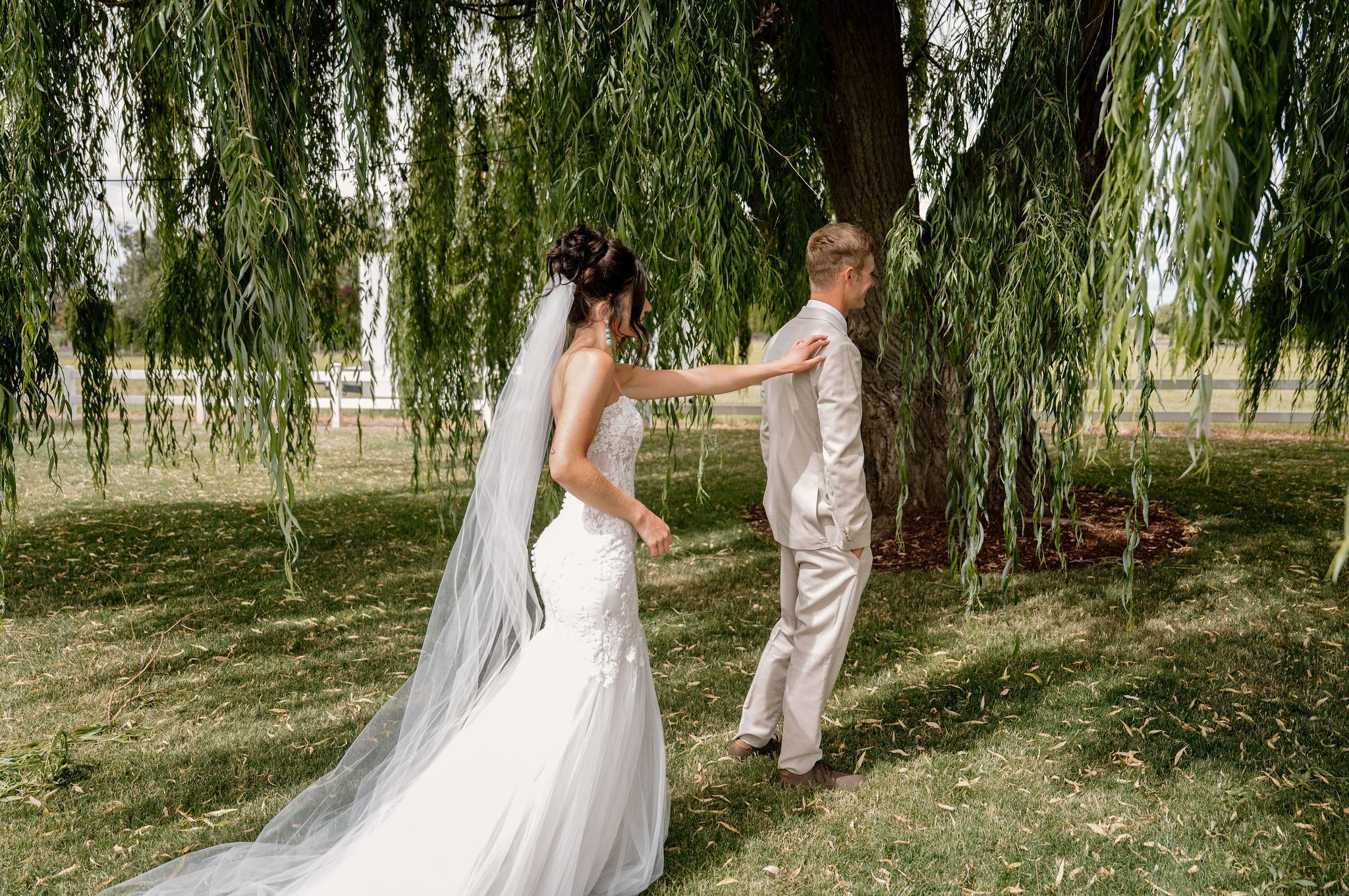 First look photos under a willow tree