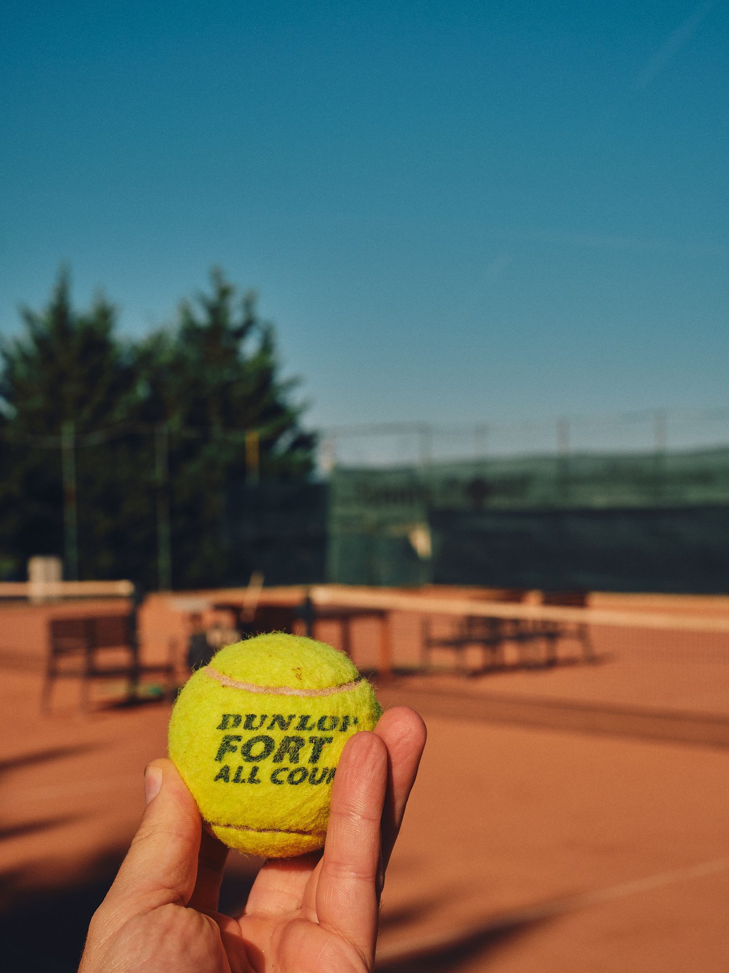 Hand holding a yellow Dunlop tennis ball on a clay court with benches and trees in the background.