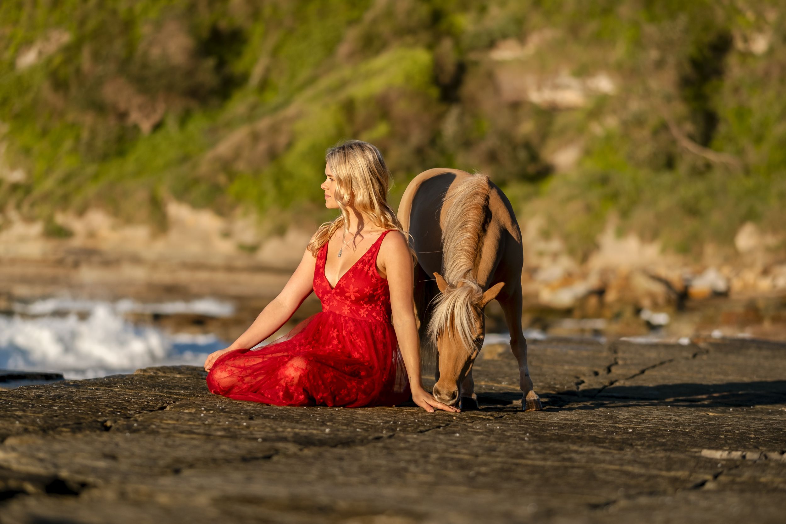 Girl in a red dress looking in the distance on a rock with a miniature horse pony during a photoshoot. Rent a pony for photoshoot
