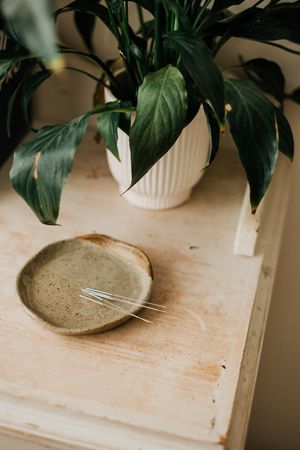 Minimalist still life of a potted plant and ceramic dish on wooden surface.
