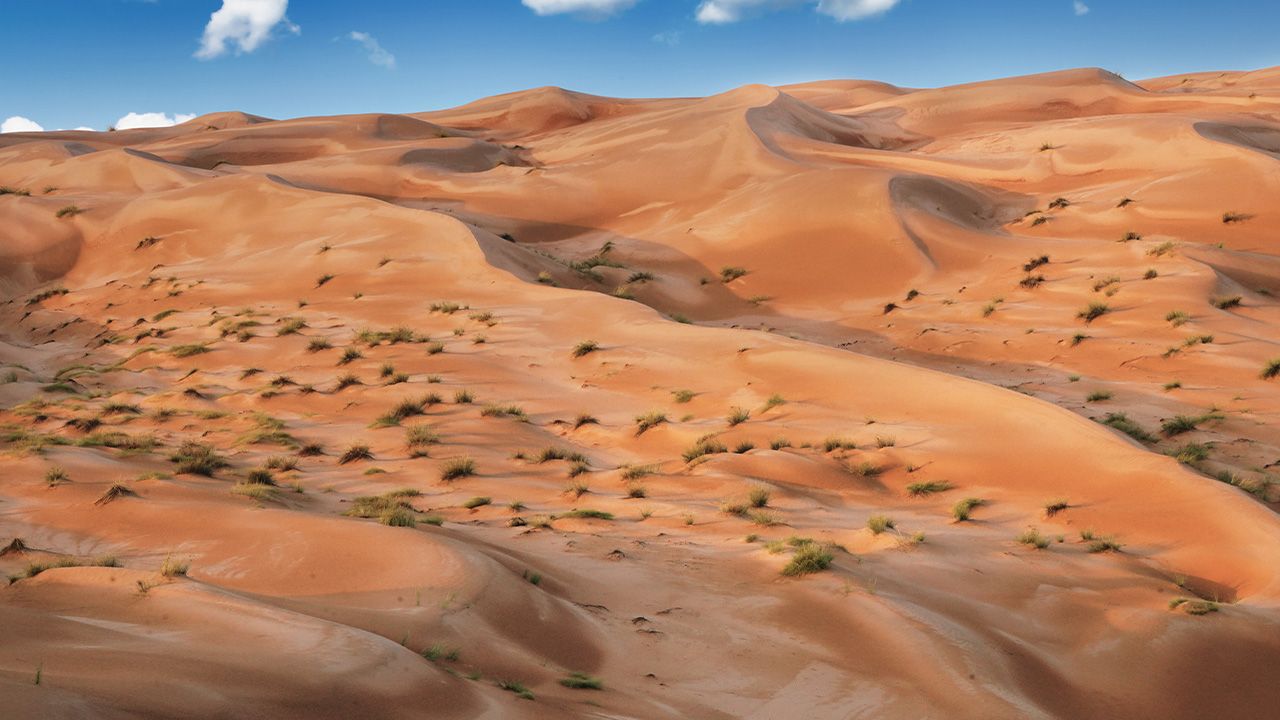 Oman, Mauro Parmesani