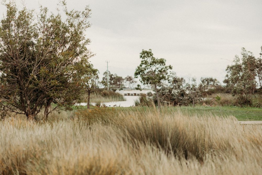 werribee family photographer