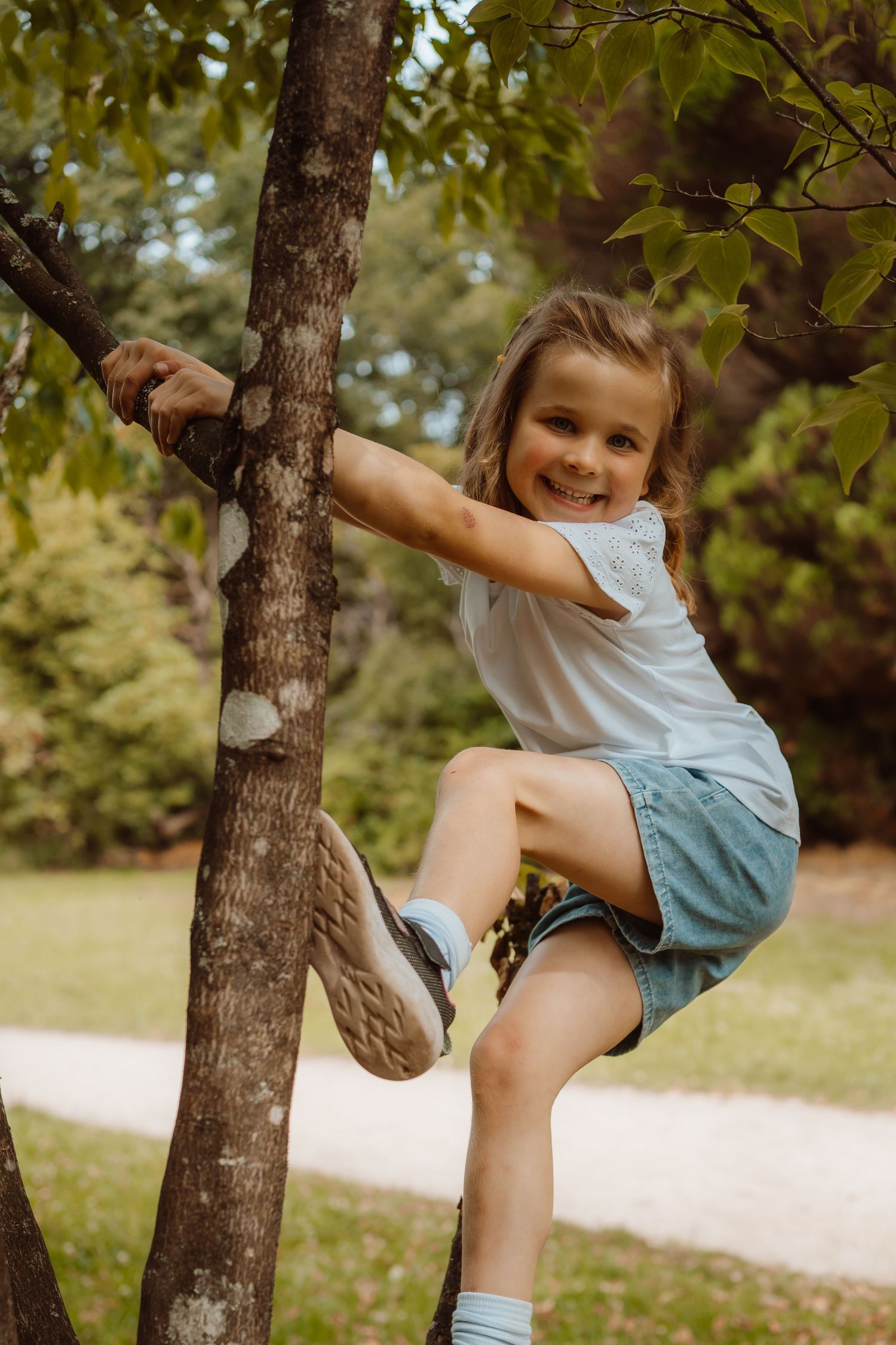 Young climber wearing a white shirt and blue shorts scales a tree trunk in a sunny outdoor setting.
