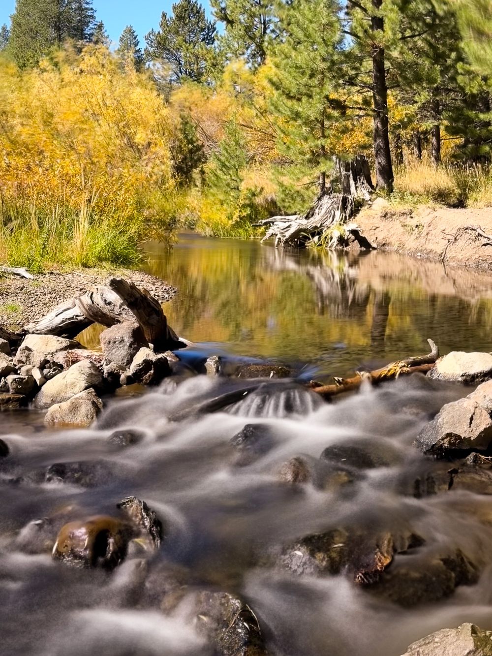 Fall color along the Sagehen trail with small waterfall in the creek in Truckee by Cindy Tucey Photography