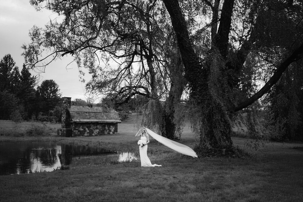 A series of black and white wedding photographs displayed in a horizontal filmstrip layout showing outdoor scenes.