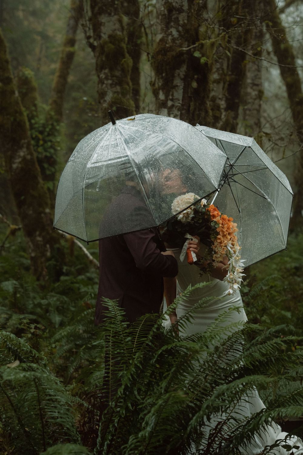 A couple with clear umbrellas shares intimate moments among ferns in a lush forest.
