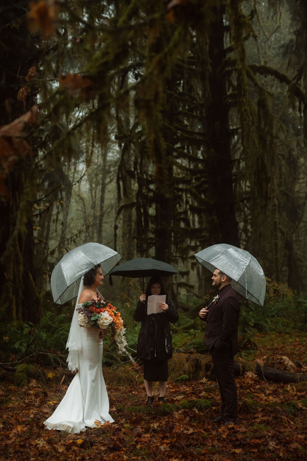 Wedding party poses with clear umbrellas among tall trees in an autumn forest.