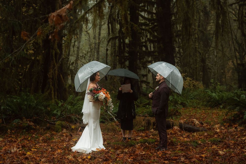 Wedding party holding umbrellas while standing in a moody, misty forest with fall foliage.