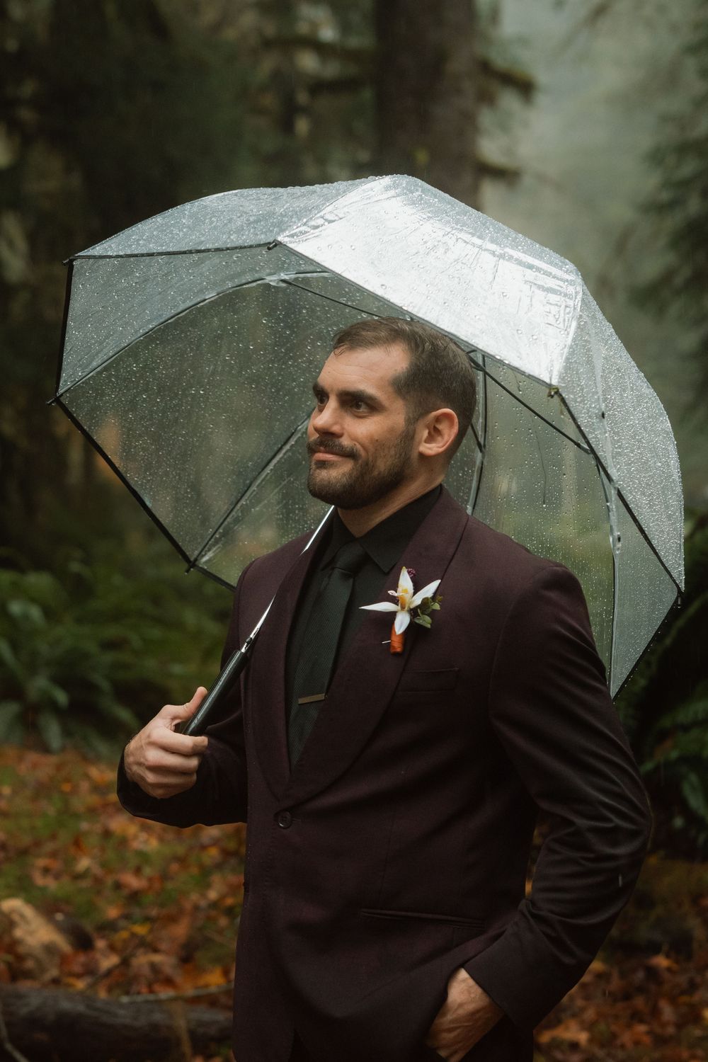 A person in a burgundy suit holds a clear umbrella in a misty forest setting.