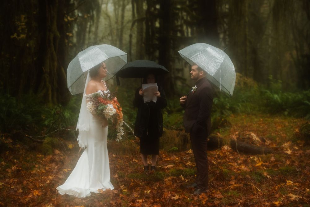 Wedding couple with umbrellas photographed in a mystical autumn forest setting.