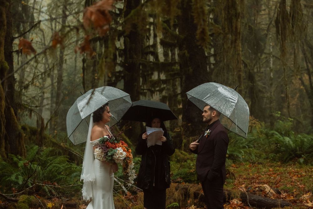 Couple with clear umbrellas share intimate moments in a fall forest.