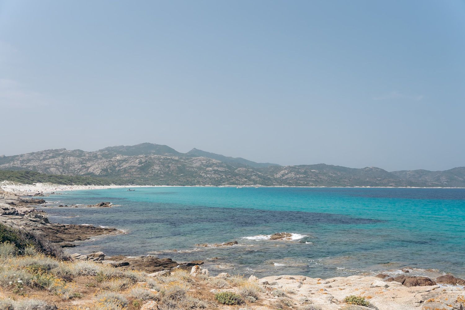 plage de saleccia en corse