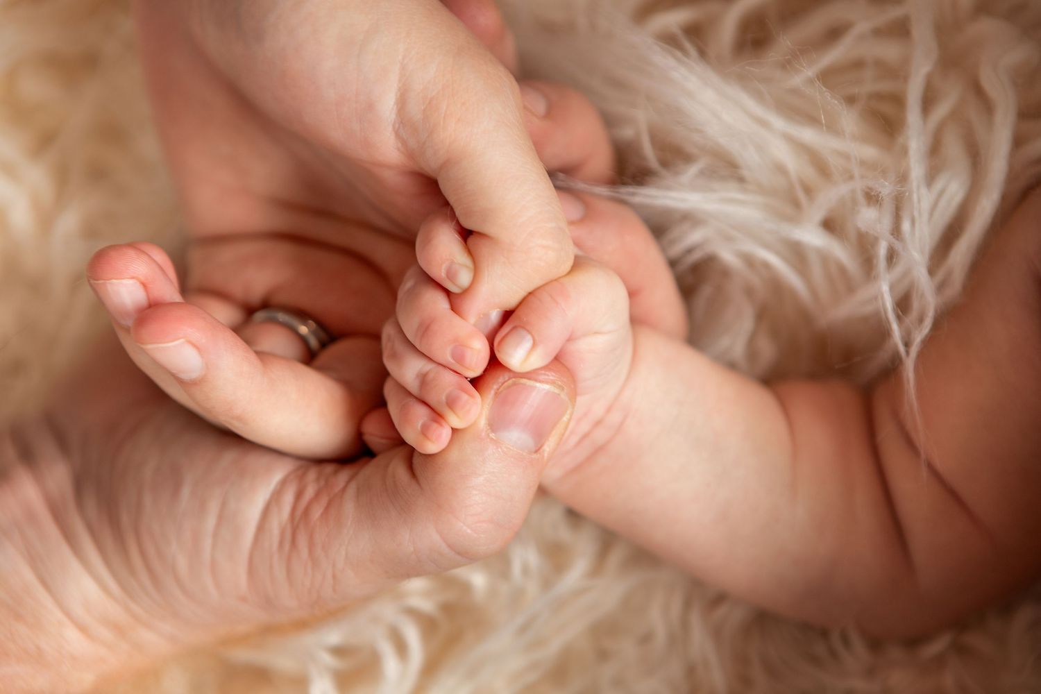 Mother, Father and newborn babies hands all connecting