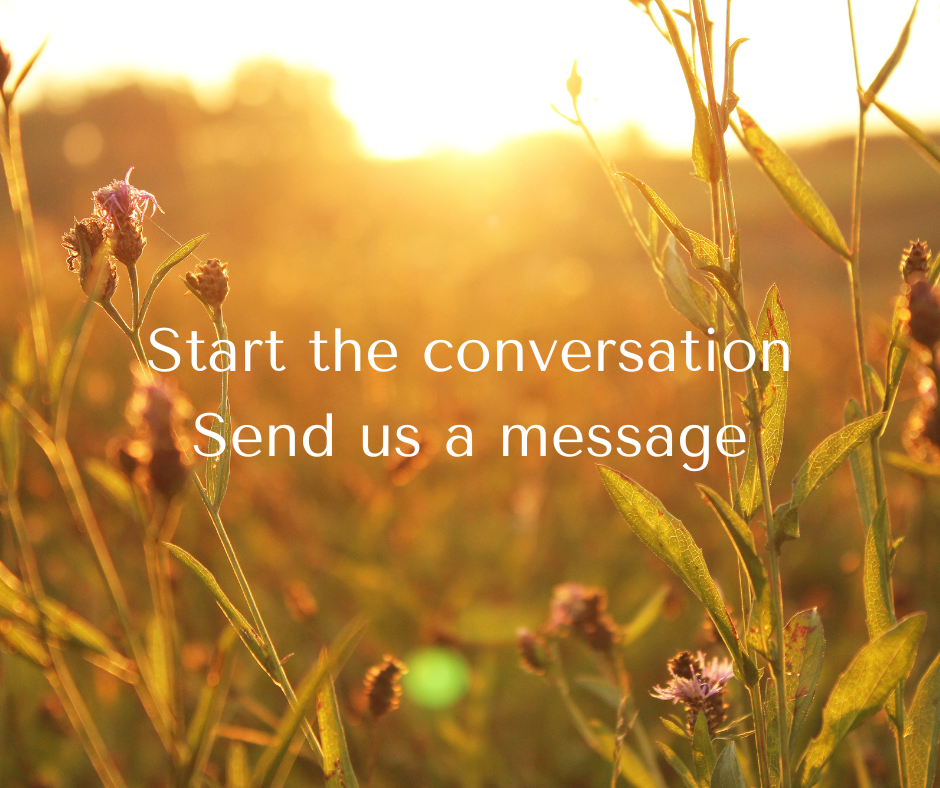 Pink wildflowers silhouetted against a golden sunset with white text overlay encouraging conversation.