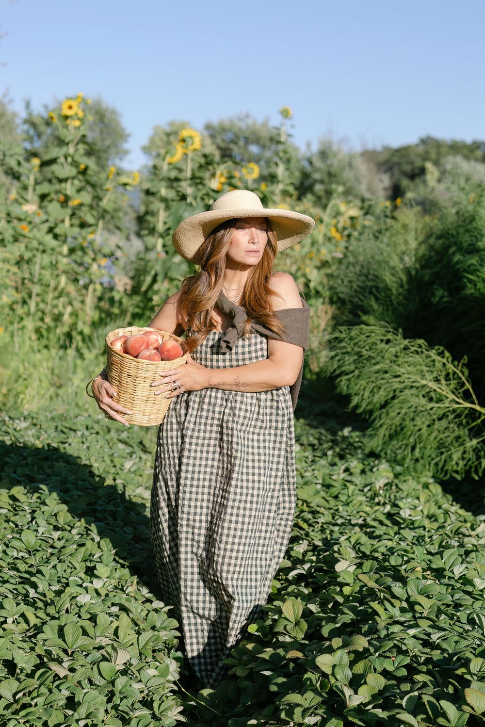 Figure in gingham dress and straw hat harvesting flowers in a summer garden.
