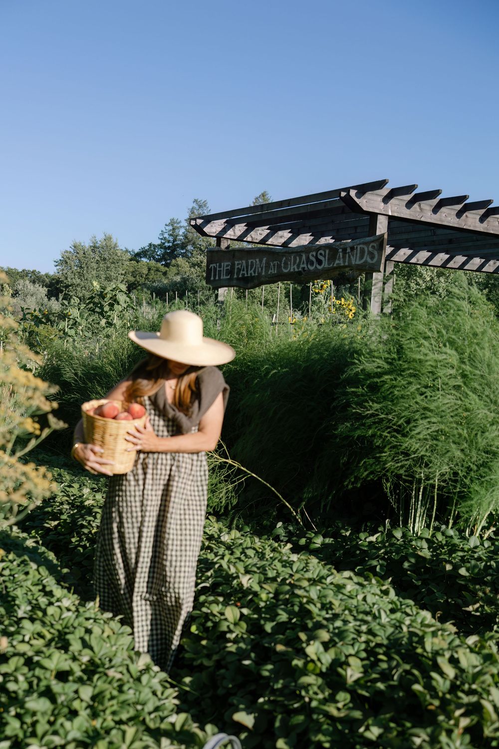 Garden scene with pergola and figure gathering flowers among lush greenery.