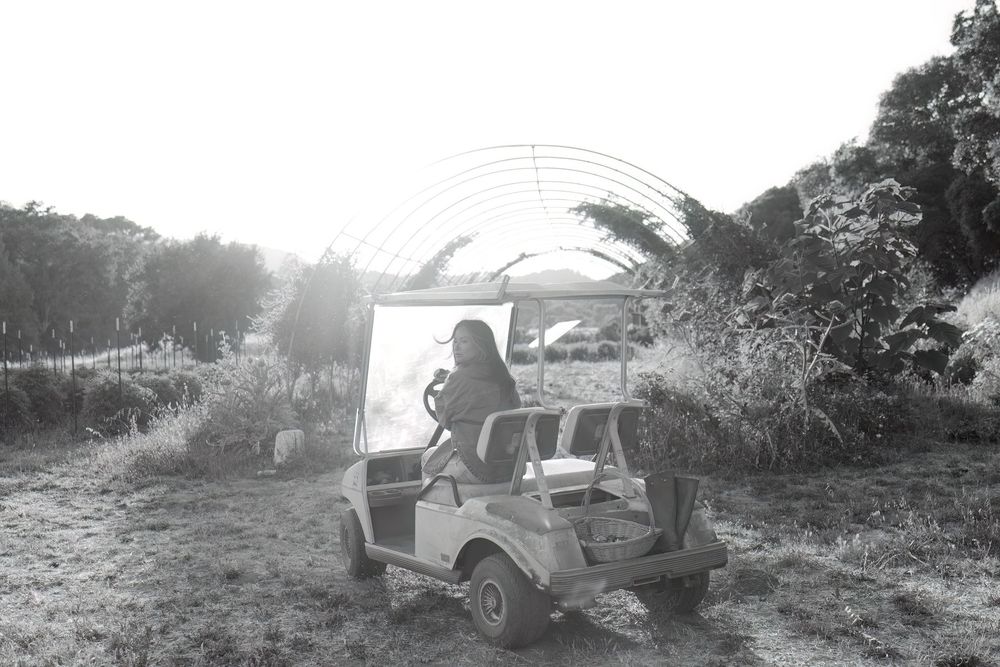 Golf cart driving through a sunny outdoor landscape with trees and brush.