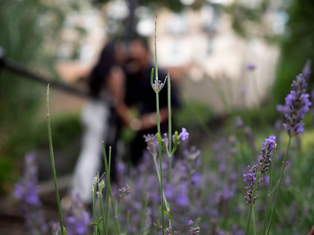 Nottingham Derby wedding photographer engagement shoot